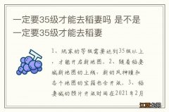 一定要35级才能去稻妻吗 是不是一定要35级才能去稻妻