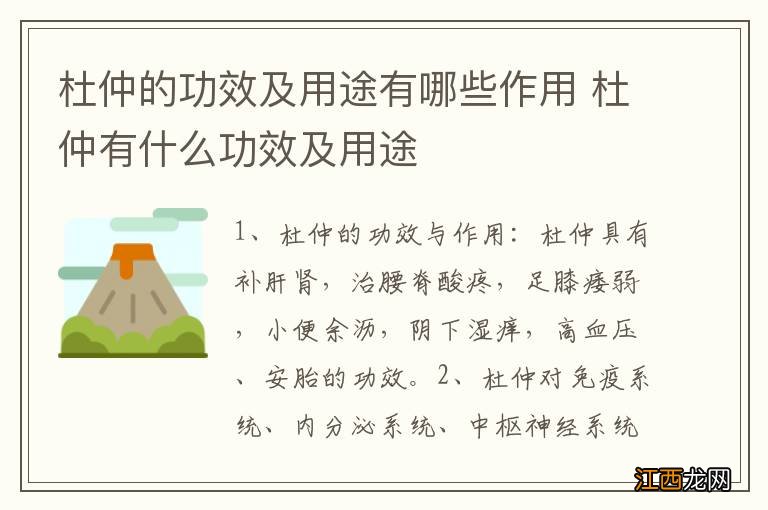 杜仲的功效及用途有哪些作用 杜仲有什么功效及用途