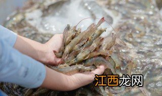 爆炒小河虾 爆炒小河虾图片