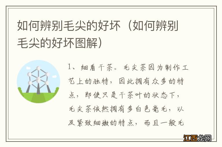 如何辨别毛尖的好坏图解 如何辨别毛尖的好坏