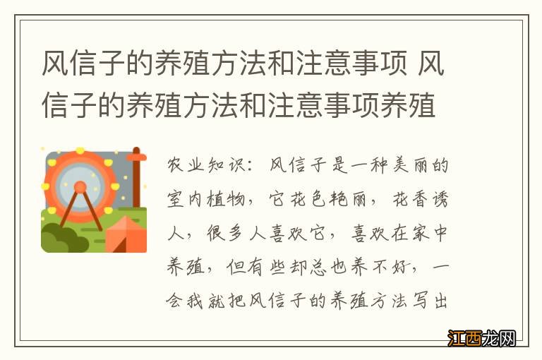 风信子的养殖方法和注意事项 风信子的养殖方法和注意事项养殖日记