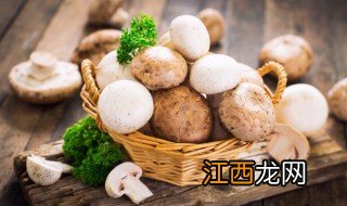 野生菌炖豆腐怎么做 野生菌炖豆腐的做法