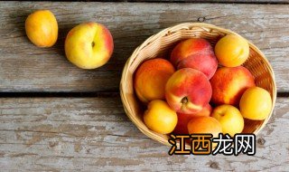 桃子冰块制作方法 桃子冰块制作方法是什么