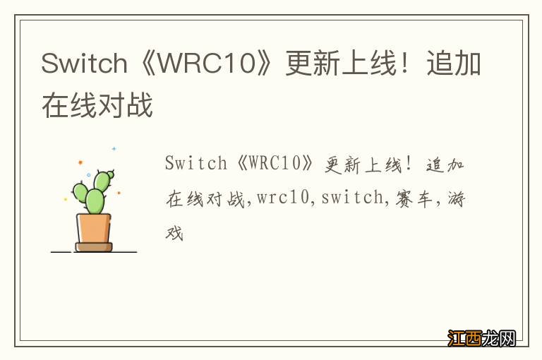 Switch《WRC10》更新上线！追加在线对战