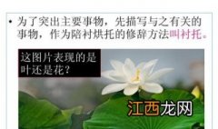 烘托和衬托的区别