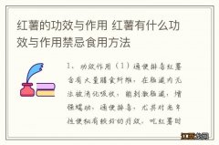 红薯的功效与作用 红薯有什么功效与作用禁忌食用方法