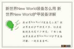 新世界New World装备怎么用 新世界New World护甲装备详解