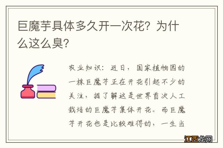 巨魔芋具体多久开一次花？为什么这么臭？