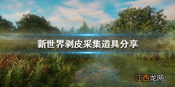 新世界NewWorld剥皮采集道具有哪些 新世界剥皮采集道具分享