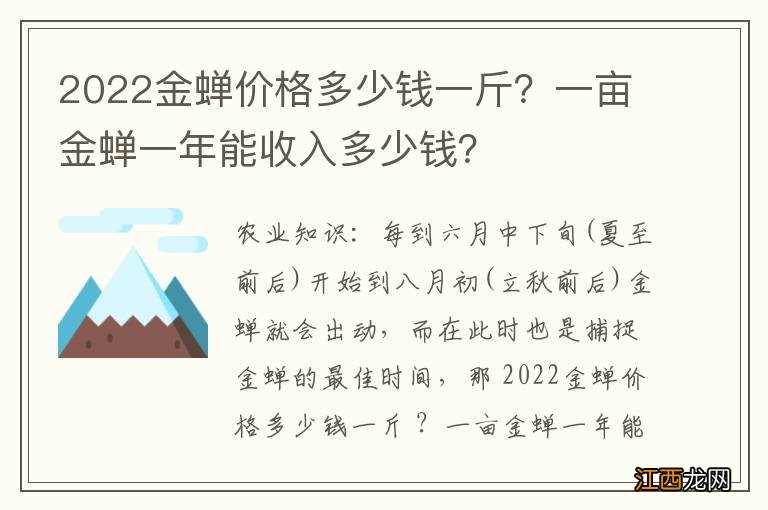 2022金蝉价格多少钱一斤？一亩金蝉一年能收入多少钱？