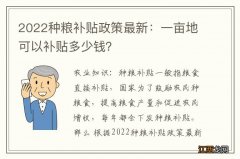 2022种粮补贴政策最新：一亩地可以补贴多少钱？