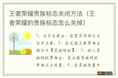 王者荣耀的贵族标志怎么关掉 王者荣耀贵族标志关闭方法