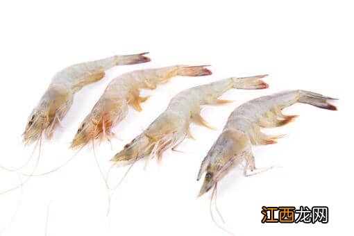 基围虾多少钱一斤市场价2022?40一斤贵吗?附各地今日价格!