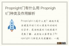 Propnight门有什么用 Propnight门种类及作用解析