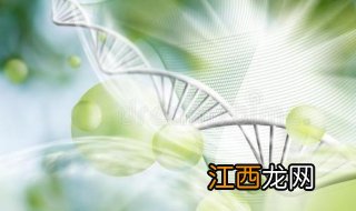 水蛭养殖技术蛭通生物技术