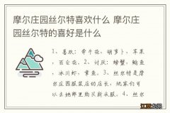 摩尔庄园丝尔特喜欢什么 摩尔庄园丝尔特的喜好是什么