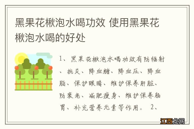 黑果花楸泡水喝功效 使用黑果花楸泡水喝的好处