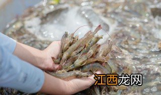 烧油爆虾的正确方法 油爆虾简单做法