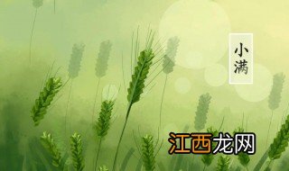 小满节气怎么养生 小满节气养生方法