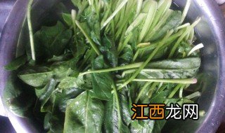 蒜香菠菜银耳的做法 蒜香菠菜银耳需要哪些材料