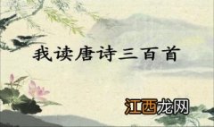 唐诗三百首：王之涣登鹳雀楼赏析