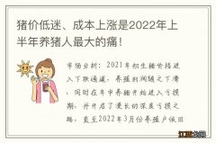 猪价低迷、成本上涨是2022年上半年养猪人最大的痛！