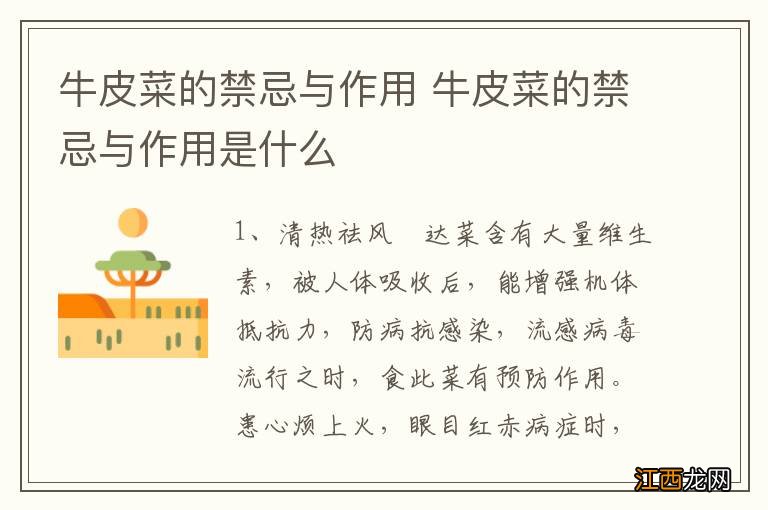 牛皮菜的禁忌与作用 牛皮菜的禁忌与作用是什么