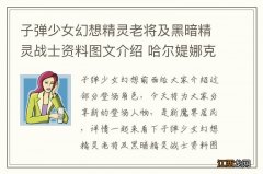 子弹少女幻想精灵老将及黑暗精灵战士资料图文介绍 哈尔媞娜克丽珊卓