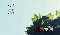 二十四节气小满有什么含义