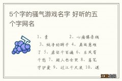 5个字的骚气游戏名字 好听的五个字网名