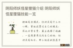 阴阳师妖怪屋狸猫介绍 阴阳师妖怪屋狸猫技能一览