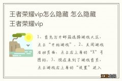 王者荣耀vip怎么隐藏 怎么隐藏王者荣耀vip