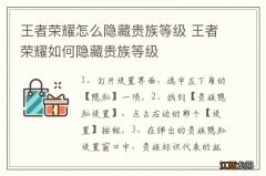 王者荣耀怎么隐藏贵族等级 王者荣耀如何隐藏贵族等级