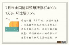 7月末全国能繁殖母猪存栏4298.1万头 环比增0.5%