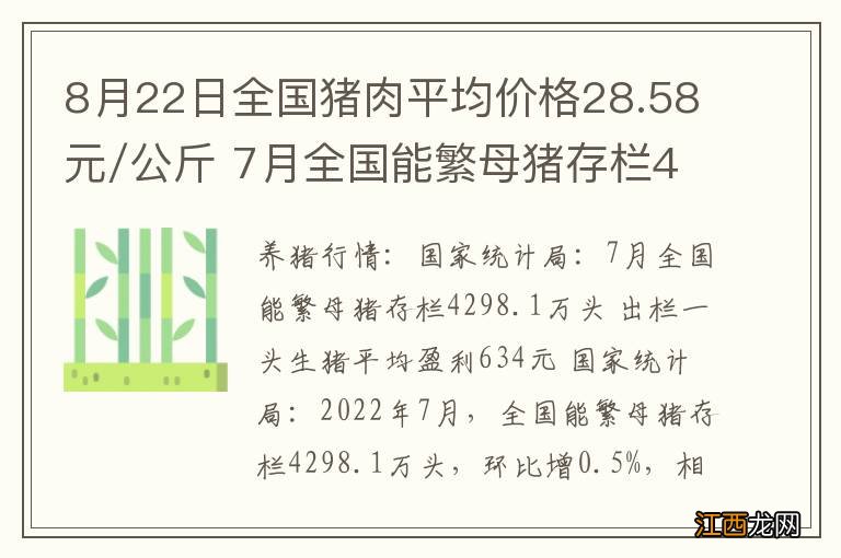 8月22日全国猪肉平均价格28.58元/公斤 7月全国能繁母猪存栏4298.1