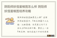 阴阳师妖怪屋椒图怎么样 阴阳师妖怪屋椒图培养攻略