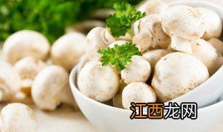 白玉菇清洗方法 白玉菇简单清洗方法分享