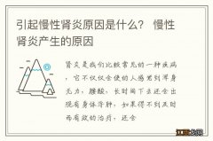 引起慢性肾炎原因是什么？ 慢性肾炎产生的原因