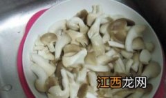 凤尾菇汤的做法