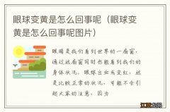 眼球变黄是怎么回事呢图片 眼球变黄是怎么回事呢