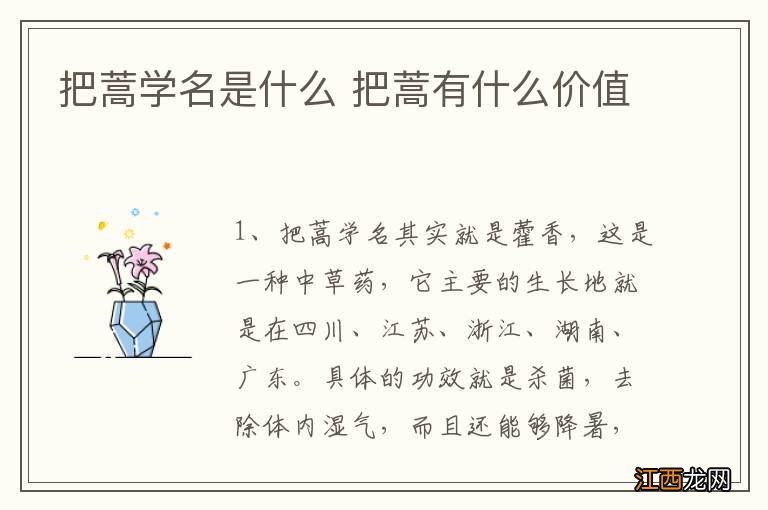 把蒿学名是什么 把蒿有什么价值