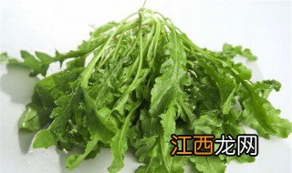 荠菜是什么菜 什么是荠菜