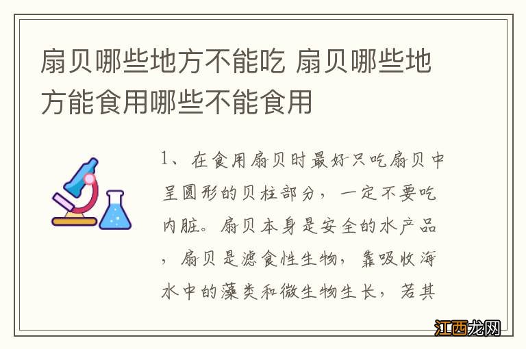 扇贝哪些地方不能吃 扇贝哪些地方能食用哪些不能食用