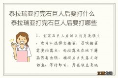 泰拉瑞亚打完石巨人后要打什么 泰拉瑞亚打完石巨人后要打哪些