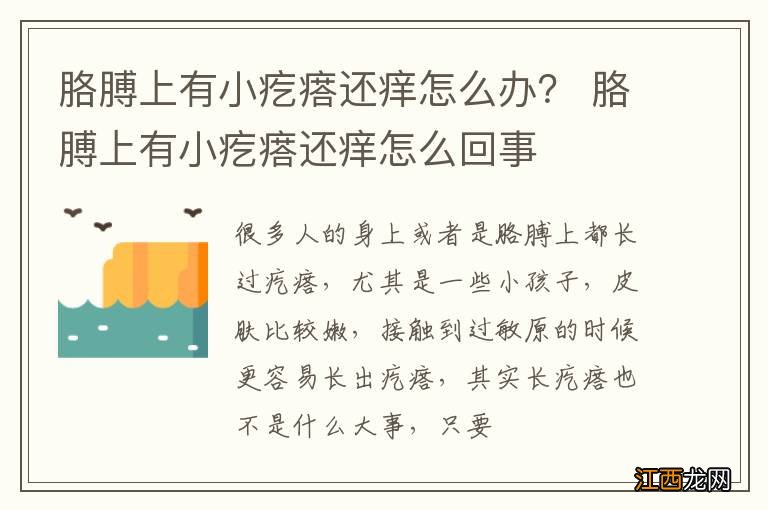 胳膊上有小疙瘩还痒怎么办？ 胳膊上有小疙瘩还痒怎么回事