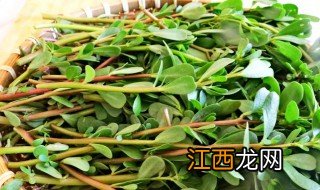 马齿苋怎么保鲜，马齿苋怎么保鲜存放