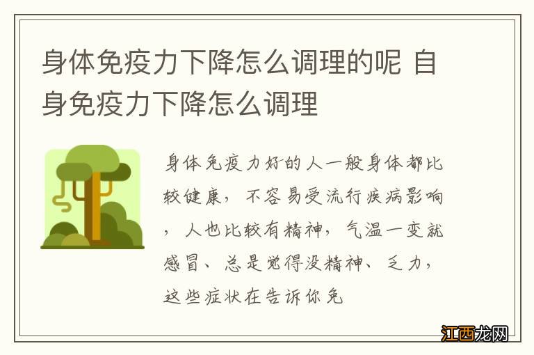 身体免疫力下降怎么调理的呢 自身免疫力下降怎么调理