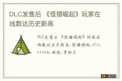 DLC发售后 《怪猎崛起》玩家在线数达历史新高