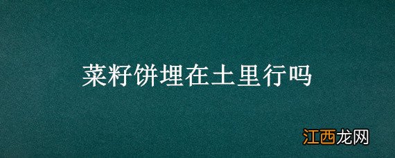 菜籽饼埋土里多久能发好 菜籽饼埋在土里行吗