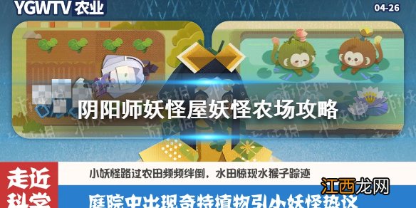 阴阳师妖怪屋种田攻略 阴阳师妖怪屋妖怪农场玩法介绍